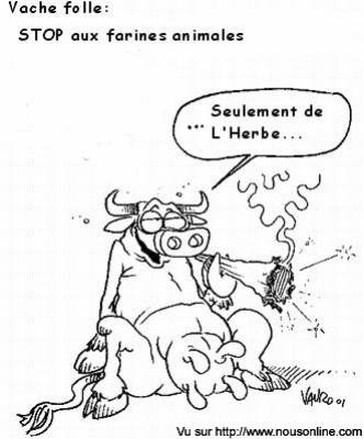 Que du naturel!!!
